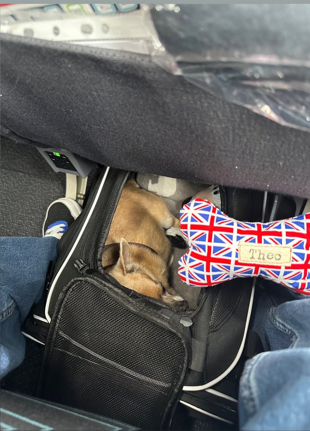 Theo asleep under the airplane seat